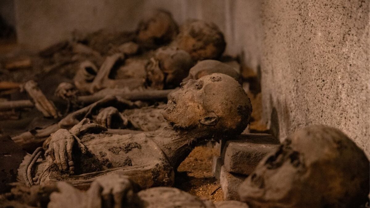 Lo que hallaron en esta tumba de Egipto junto a esta momia está reescribiendo lo que sabíamos sobre el dominio del imperio