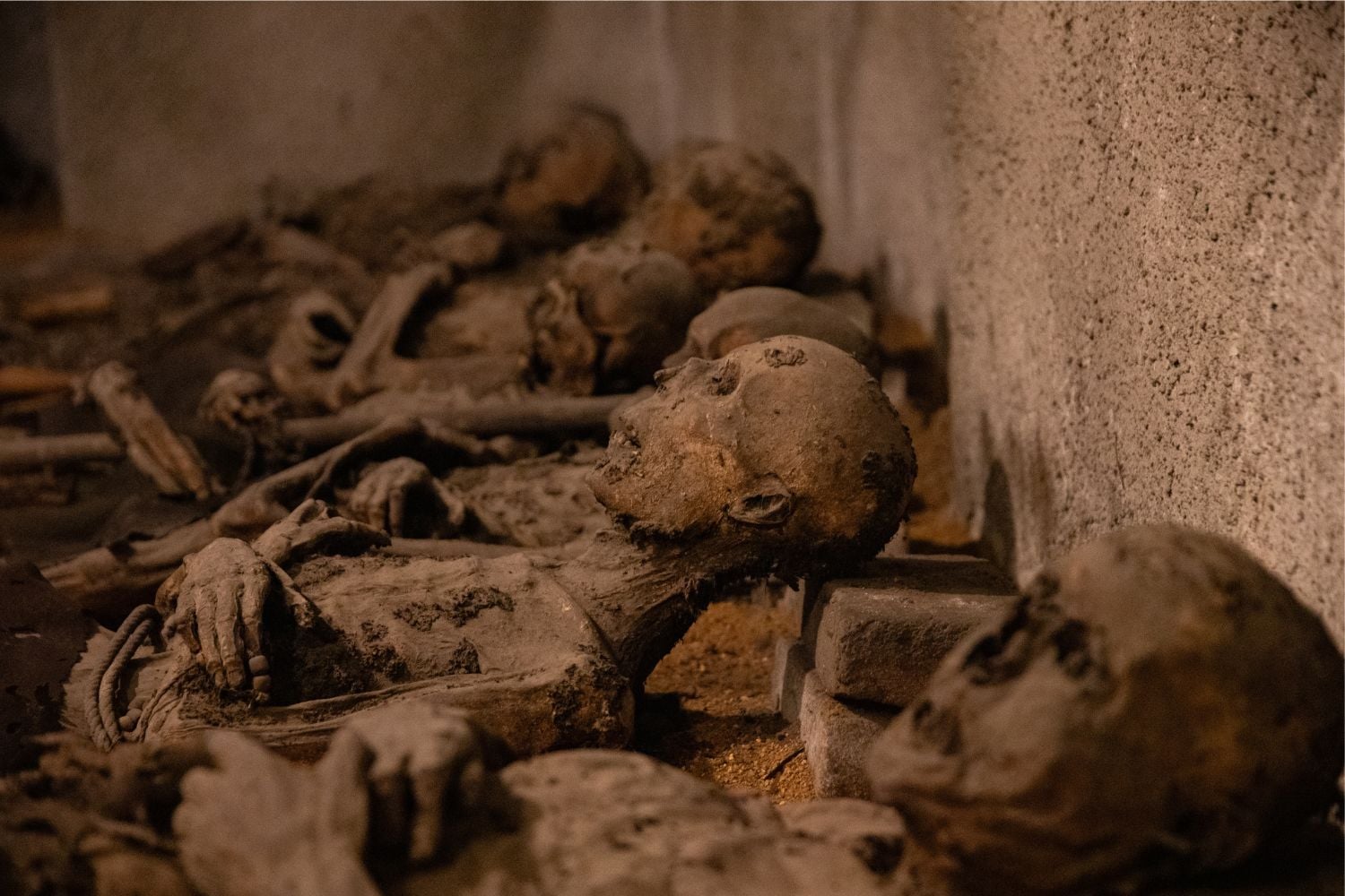 Diseño Sin Título (20)