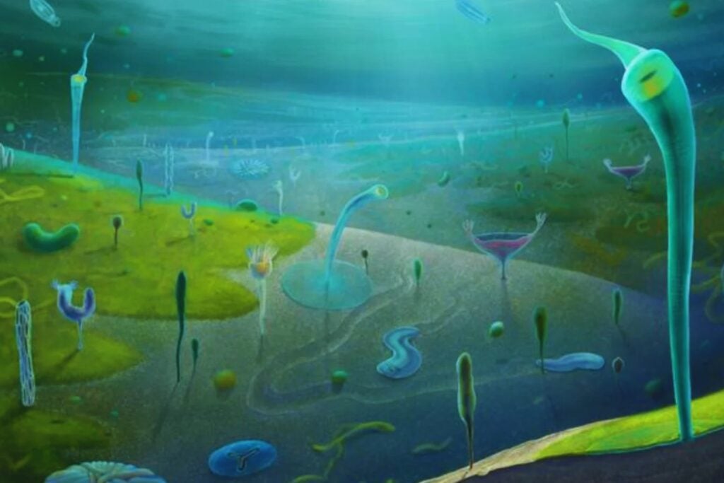 Antes de que la vida “explotara” en la Tierra ya había algo moviéndose bajo el barro. Un fósil hallado en China recuerda al gusano de Dune y obliga a repensar cuándo surgieron los animales complejos