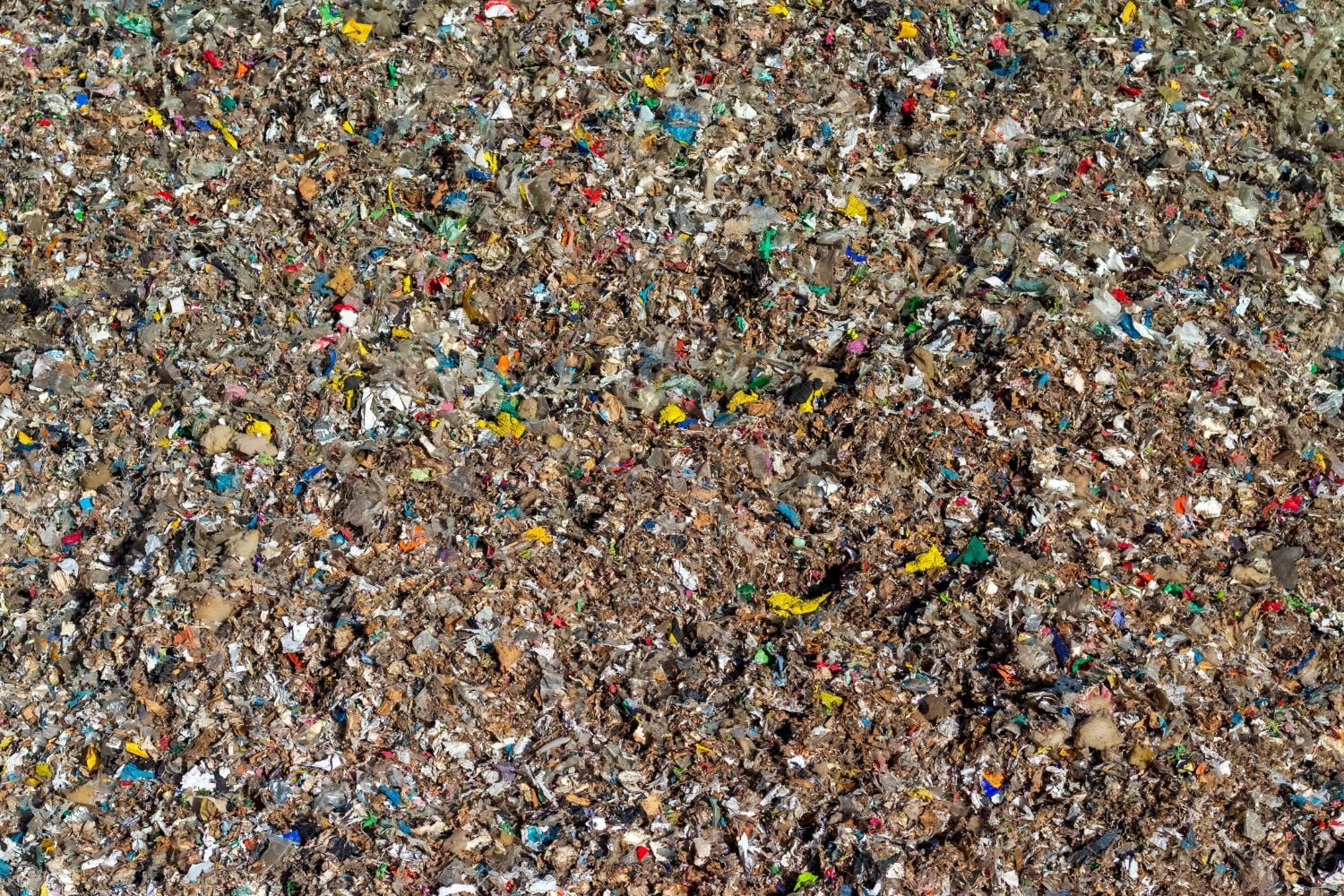 Diseño Sin Título 2026 04 08t094249.240