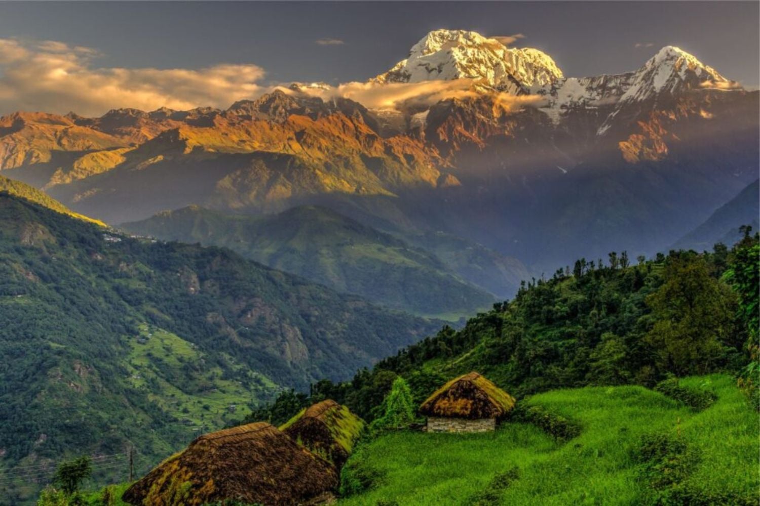 Diseño Sin Título 2026 04 08t102408.148