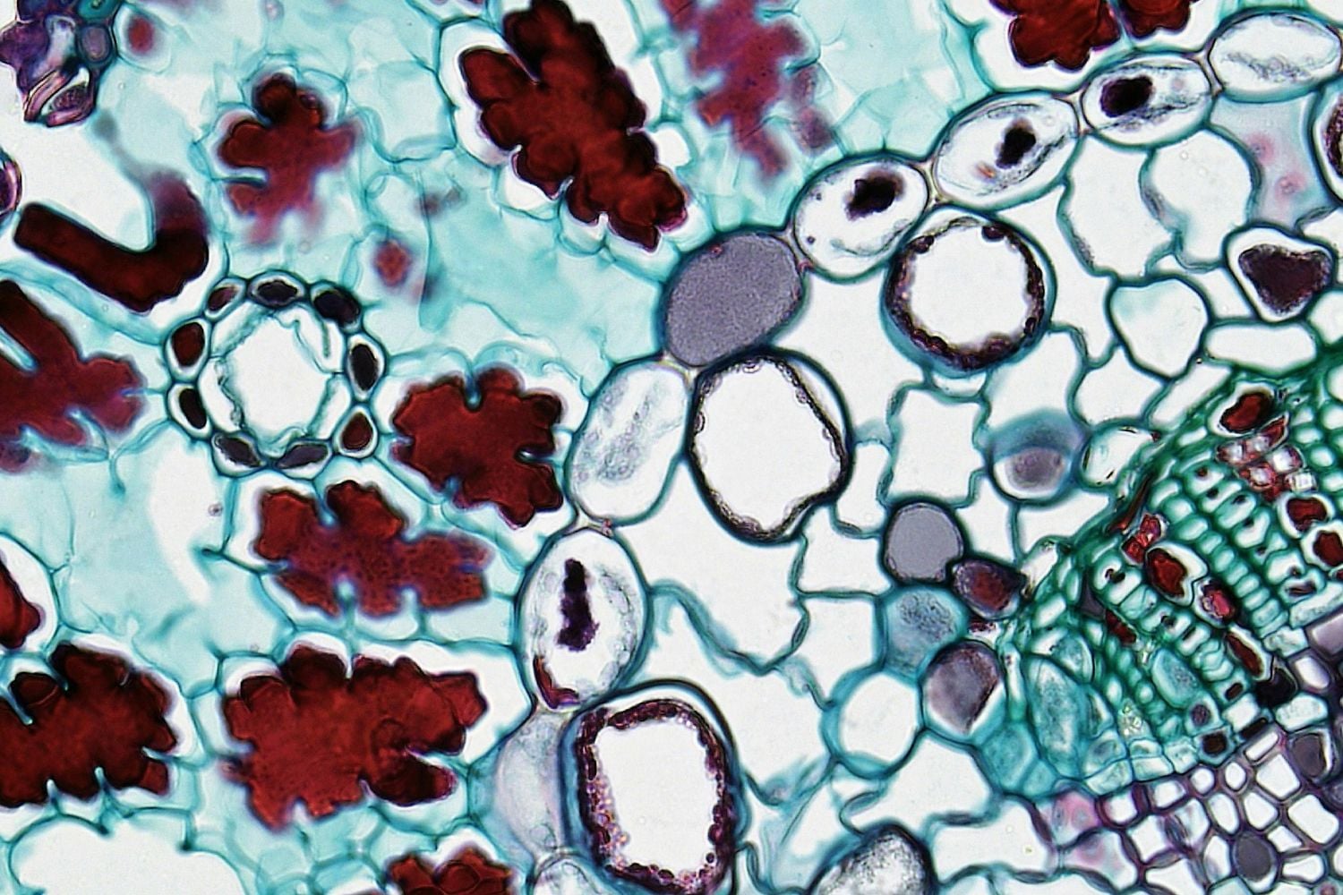 Diseño Sin Título 2026 04 11t204045.461