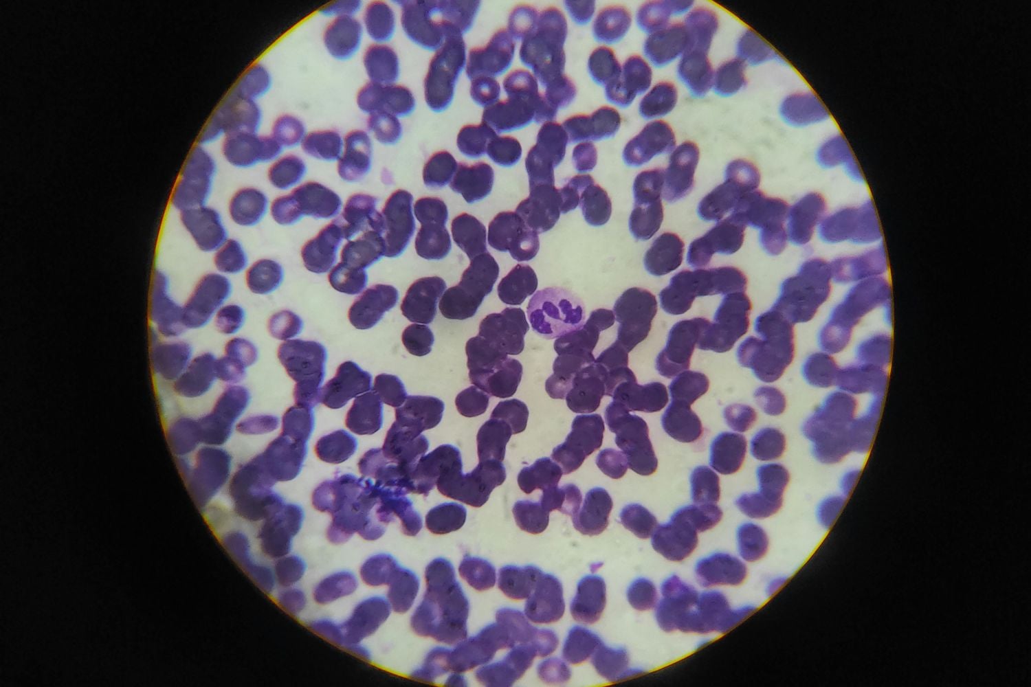 Diseño Sin Título 2026 04 11t213718.455