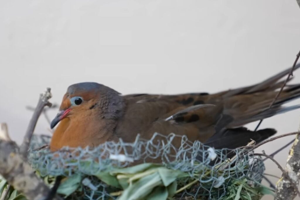 Diseño Sin Título 2026 04 14t150343.469