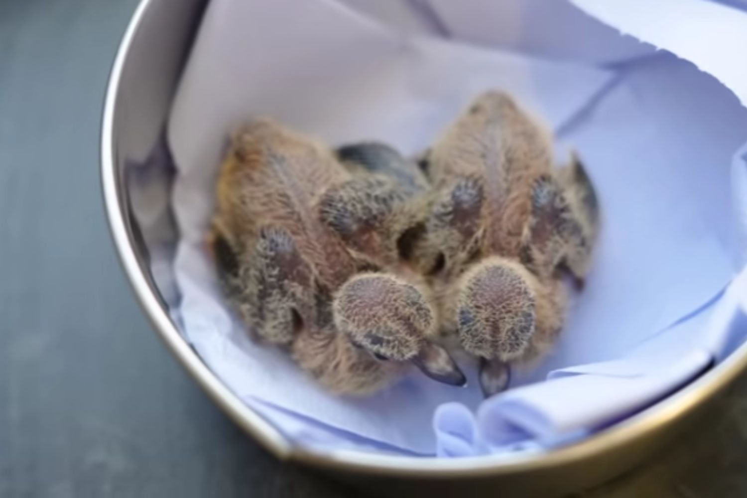 Diseño Sin Título 2026 04 14t150439.696