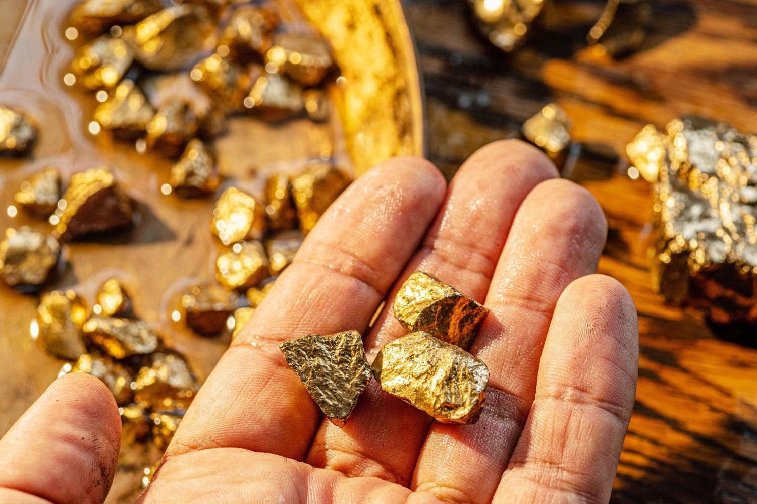 Diseño Sin Título 2026 04 14t153625.799