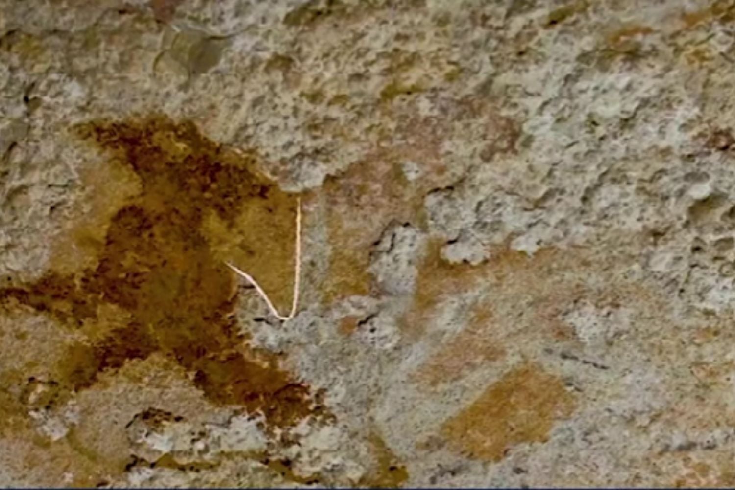 Diseño Sin Título 2026 04 14t214149.838