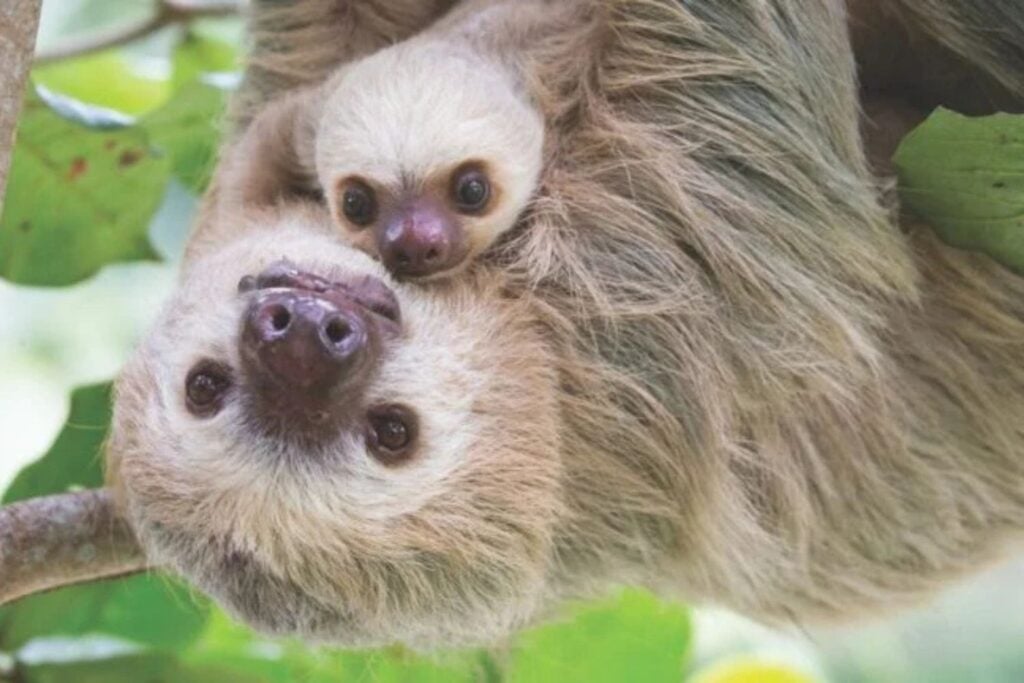 Diseño Sin Título 2026 04 29t111629.810