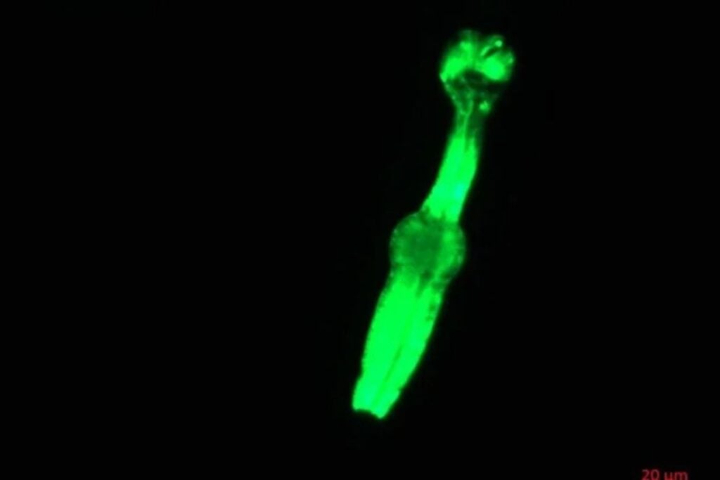 Diseño Sin Título (21)