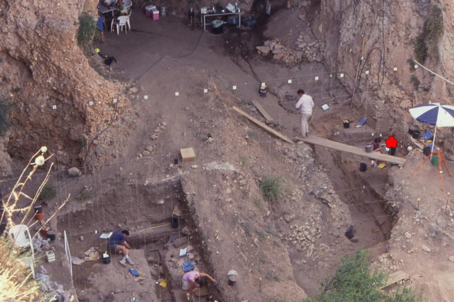 Un esqueleto infantil de hace más de 50.000 años está desconcertando a los científicos por una razón muy concreta. Su edad real no encaja con su tamaño, y eso cambia cómo entendemos el crecimiento neandertal