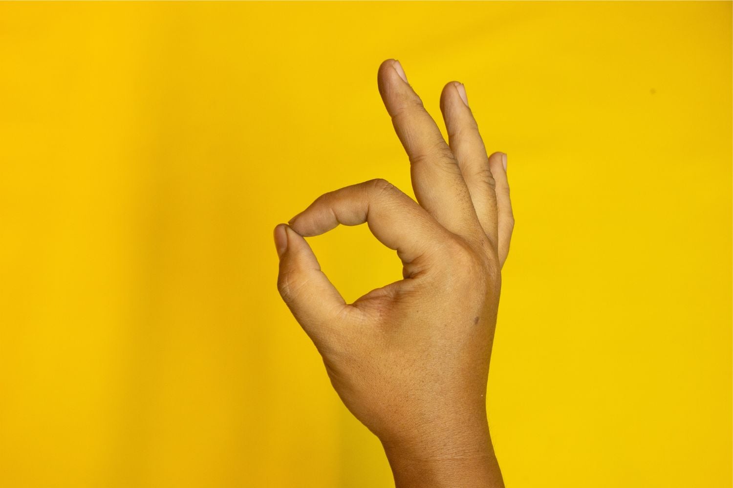 Diseño Sin Título (23)