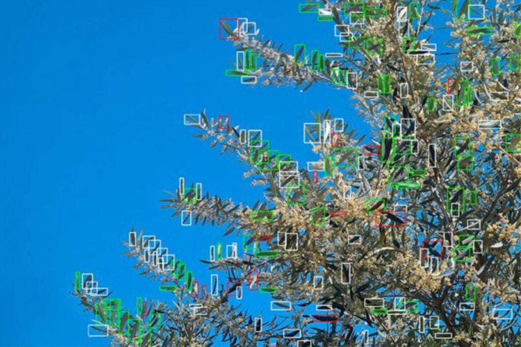 Un científico ha creado un robot capaz de detectar enfermedades en cultivos en segundos y aplicar pesticidas solo donde hace falta. La inteligencia artificial podría cambiar por completo cómo se combate las plagas en la agricultura