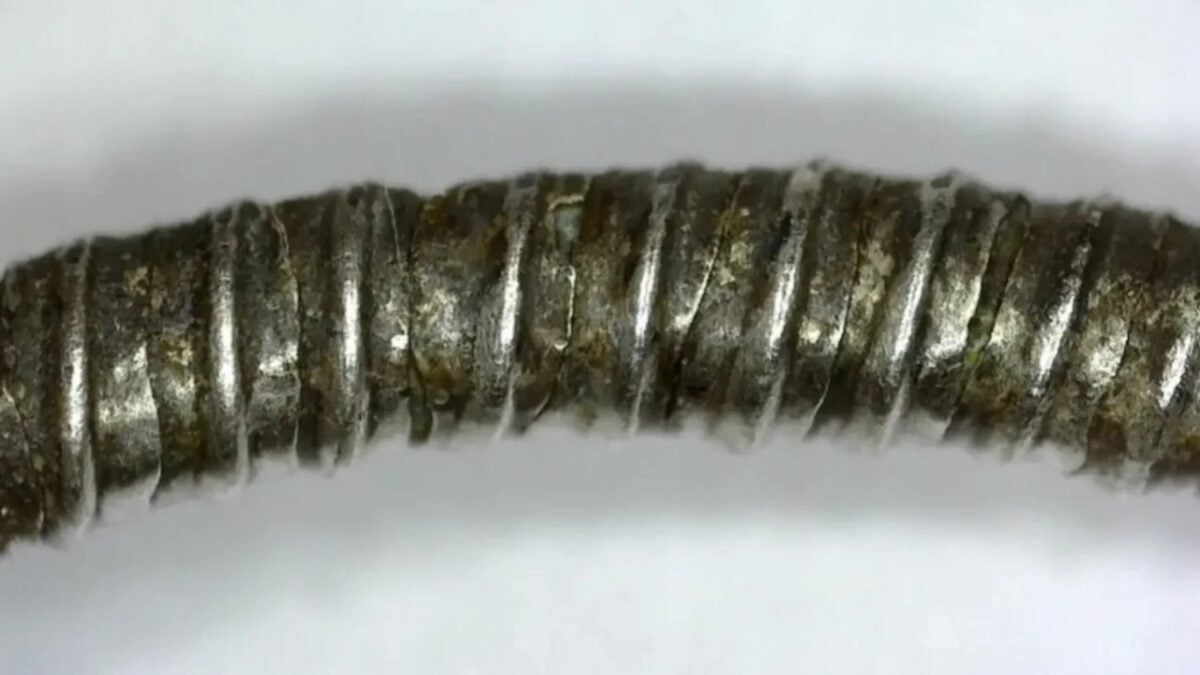 Abren una tumba de la Edad del Hierro en Italia y encuentran algo que no debería estar ahí. Un objeto revela viajes de miles de kilómetros y una red de intercambio mucho más compleja de lo que creíamos