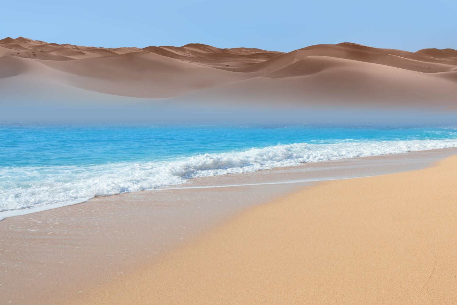 Diseño Sin Título (27)