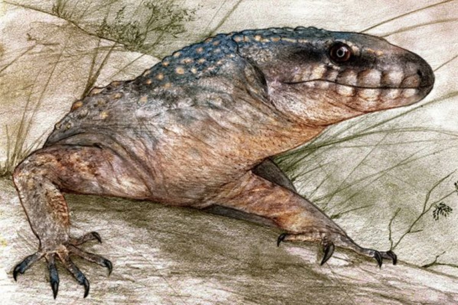 La Patagonia argentina vuelve a sorprender a la ciencia. Investigadores del CONICET descubren un nuevo reptil de 70 millones de años que vivió antes del fin de los dinosaurios