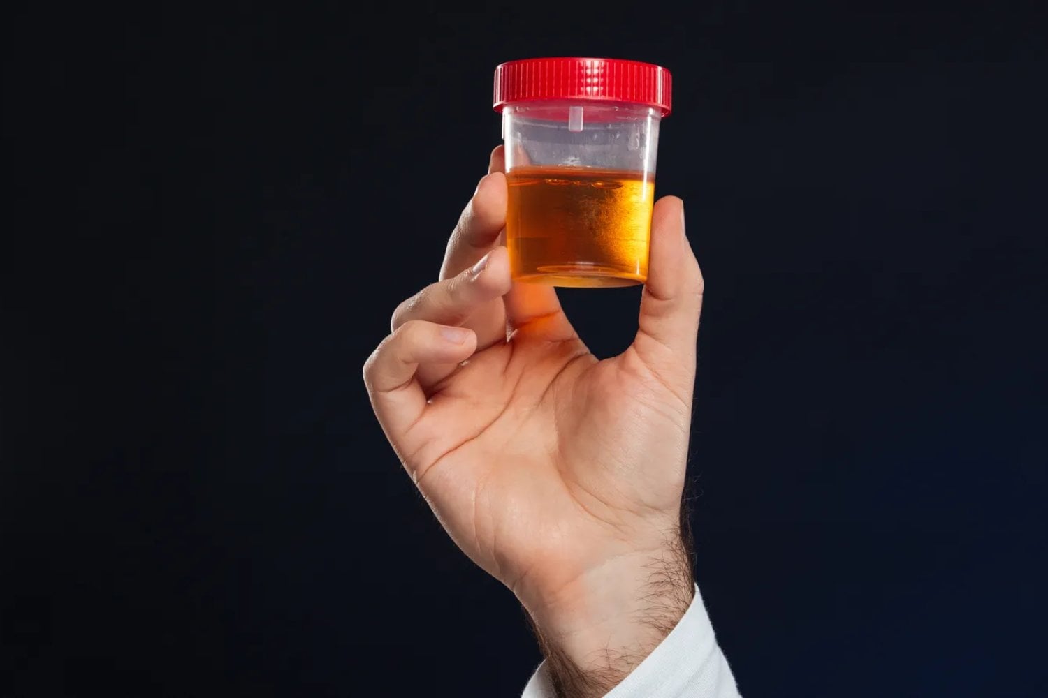 Científicos británicos convierten orina humana en fertilizante con muy poca energía. El avance no solo recicla residuos: también cuestiona cómo alimentamos al planeta