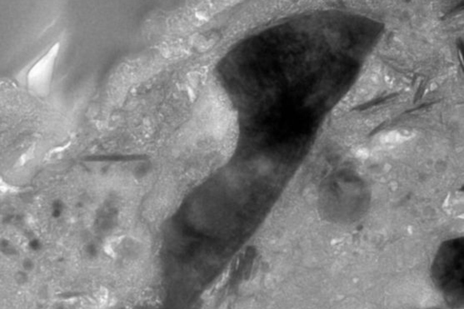 Japón analizó un fragmento del asteroide Ryugu y encontró un mineral que no debería estar ahí. El hallazgo es tan extraño que los científicos lo comparan con una “semilla tropical en el hielo del Ártico”