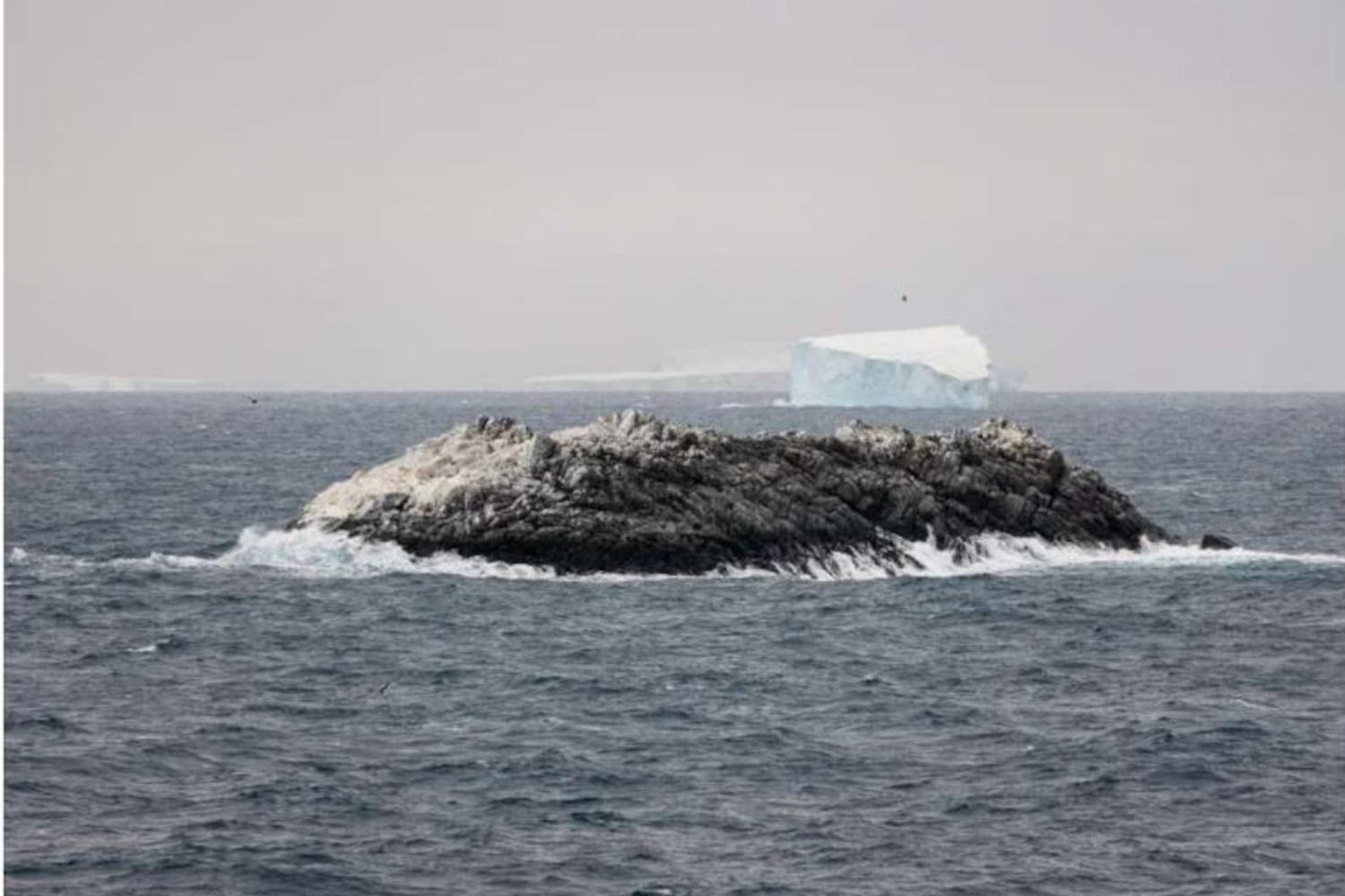 Lo que parecía solo un iceberg terminó siendo una isla que no estaba en los mapas. El hallazgo del rompehielos Polarstern acaba de dejar en evidencia un vacío en la cartografía antártica