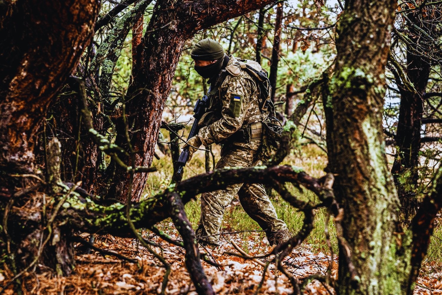 En invierno cada movimiento era visible y letal en Ucrania por drones y sensores. La primavera está cambiando esa lógica con algo tan simple como la vegetación que vuelve a ocultar el campo de batalla