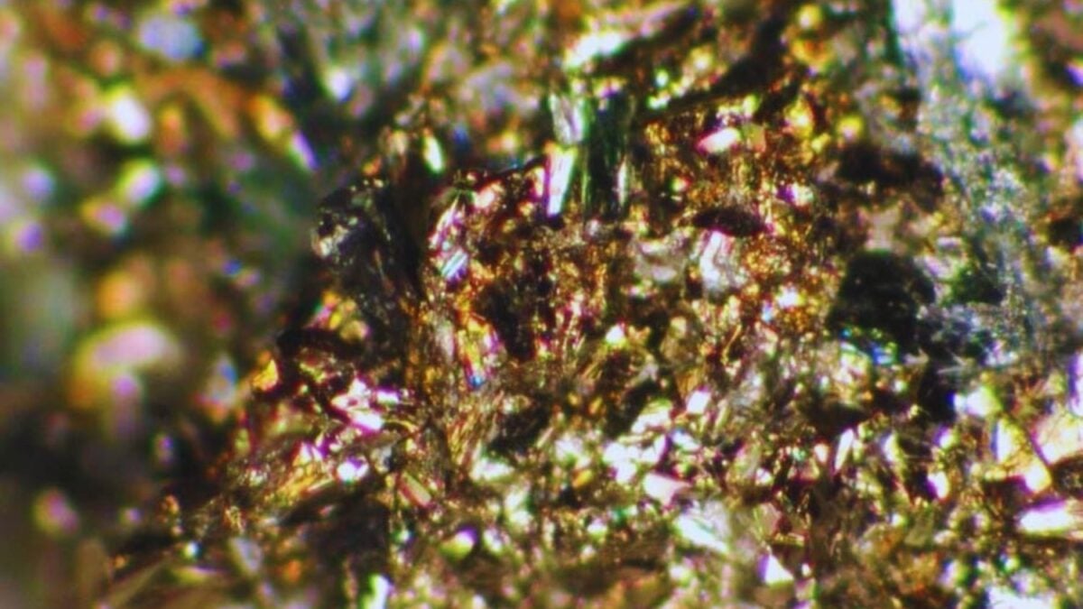 Japón analizó un fragmento del asteroide Ryugu y encontró un mineral que no debería estar ahí. El hallazgo es tan extraño que los científicos lo comparan con una “semilla tropical en el hielo del Ártico”