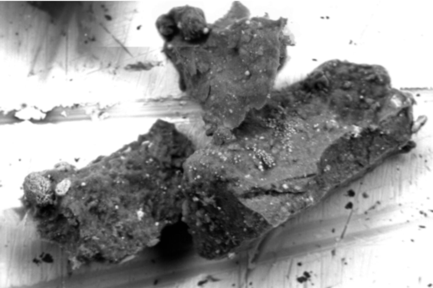 Japón analizó un fragmento del asteroide Ryugu y encontró un mineral que no debería estar ahí. El hallazgo es tan extraño que los científicos lo comparan con una “semilla tropical en el hielo del Ártico”