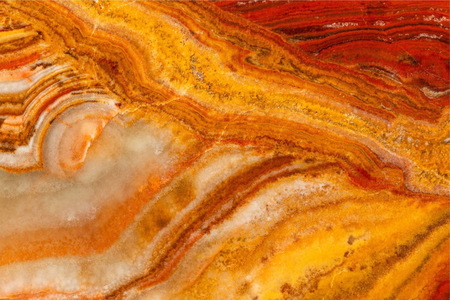 Diseño Sin Título (32)