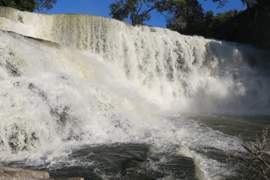 Un pez diminuto está haciendo algo que desafía toda lógica en el Congo. Escala durante horas una cascada vertical de 15 metros usando aletas y microganchos en un comportamiento nunca documentado en África