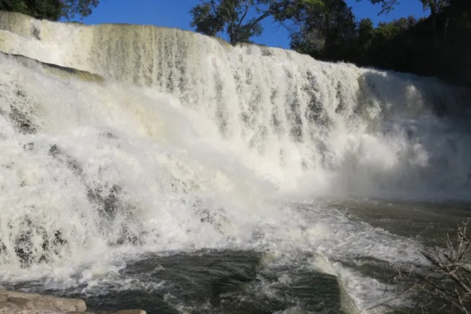 Un pez diminuto está haciendo algo que desafía toda lógica en el Congo. Escala durante horas una cascada vertical de 15 metros usando aletas y microganchos en un comportamiento nunca documentado en África