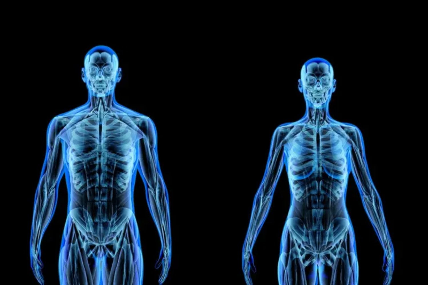 Durante siglos pensamos que el cuerpo humano era una máquina casi perfecta. La biología moderna sostiene algo más incómodo: es una colección de parches evolutivos