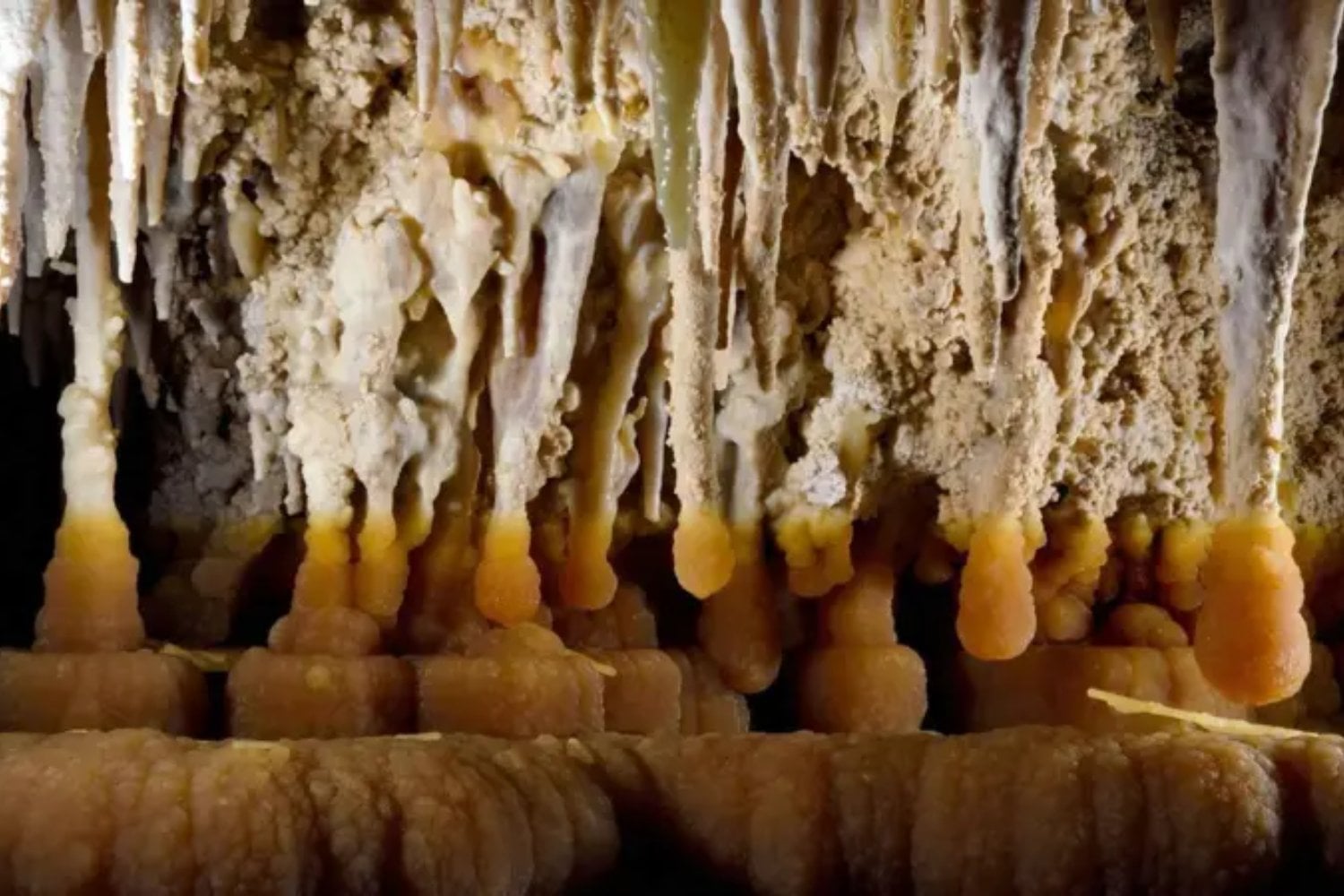 Las bacterias resistentes a los antibióticos no nacieron en hospitales. Un hallazgo en cuevas profundas demuestra que estas defensas existen desde hace millones de años y forman parte de la evolución natural de los microorganismos