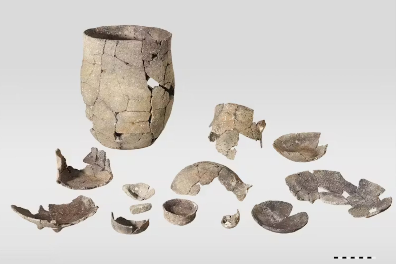 A cinco metros bajo una ciudad suiza aparecieron más de 1.300 postes de madera. Revelaron cómo una tormenta destruyó en horas un poblado neolítico de hace 5.860 años