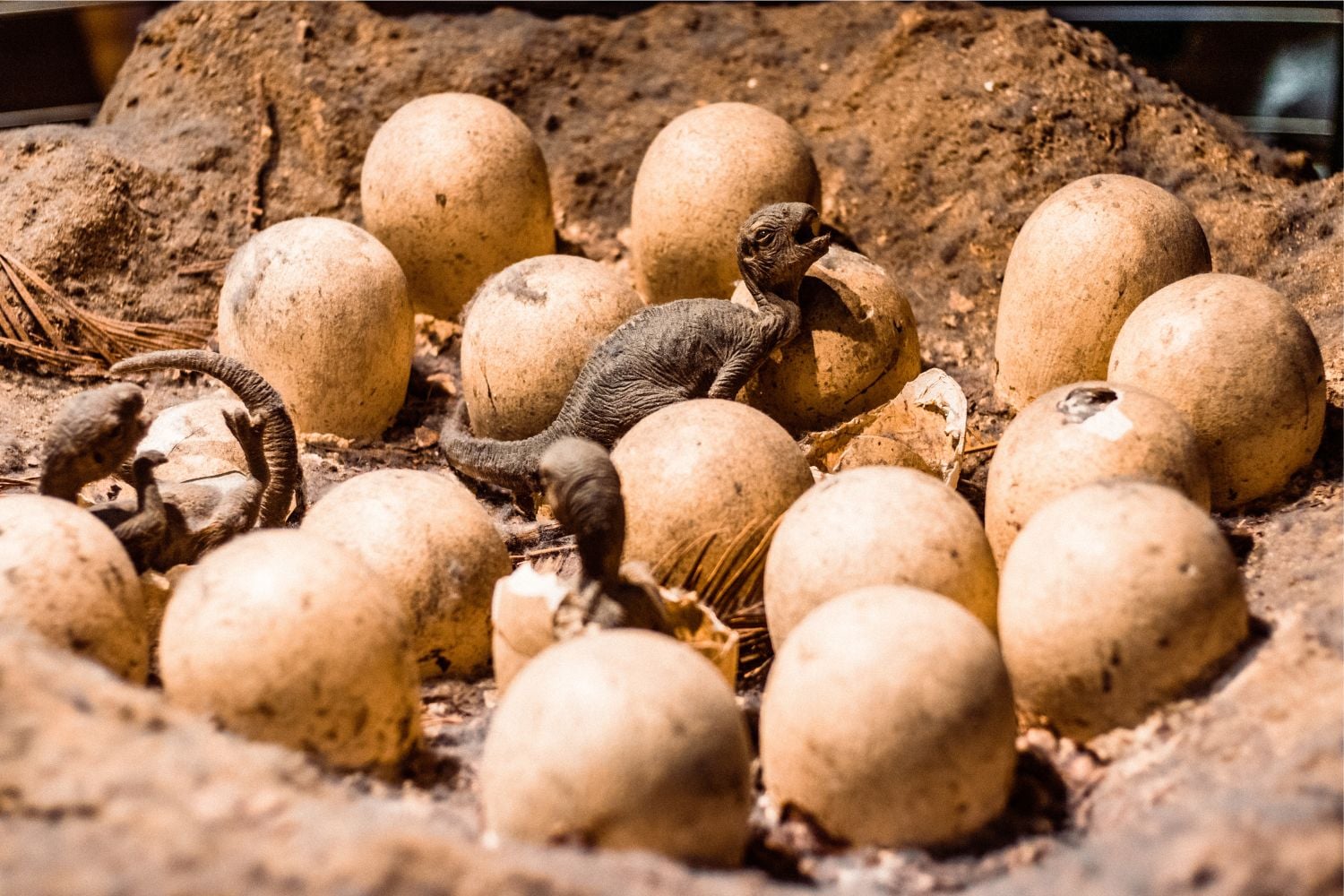 Diseño Sin Título (34)