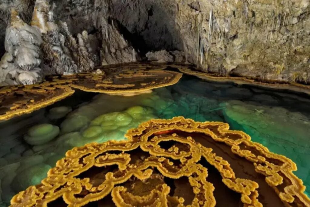 Las bacterias resistentes a los antibióticos no nacieron en hospitales. Un hallazgo en cuevas profundas demuestra que estas defensas existen desde hace millones de años y forman parte de la evolución natural de los microorganismos