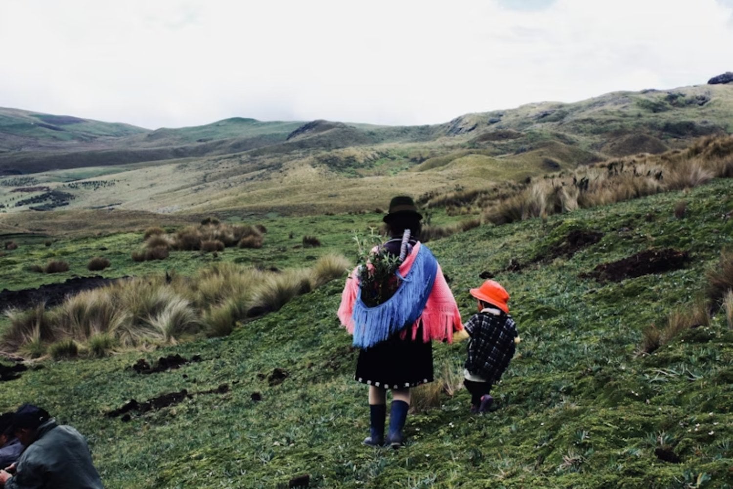 No es solo que vivan en altura, es que su cuerpo aprendió a sobrevivir a lo que sería veneno para otros. El ADN de los pueblos andinos está mostrando una adaptación que sigue en marcha