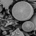 Un equipo del CONICET quiere llevar al hogar una solución para un problema casi invisible del agua potable. Desarrollan un dispositivo capaz de remover micro y nanoplásticos que hoy escapan a muchos filtros convencionales