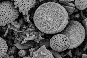 Un equipo del CONICET quiere llevar al hogar una solución para un problema casi invisible del agua potable. Desarrollan un dispositivo capaz de remover micro y nanoplásticos que hoy escapan a muchos filtros convencionales