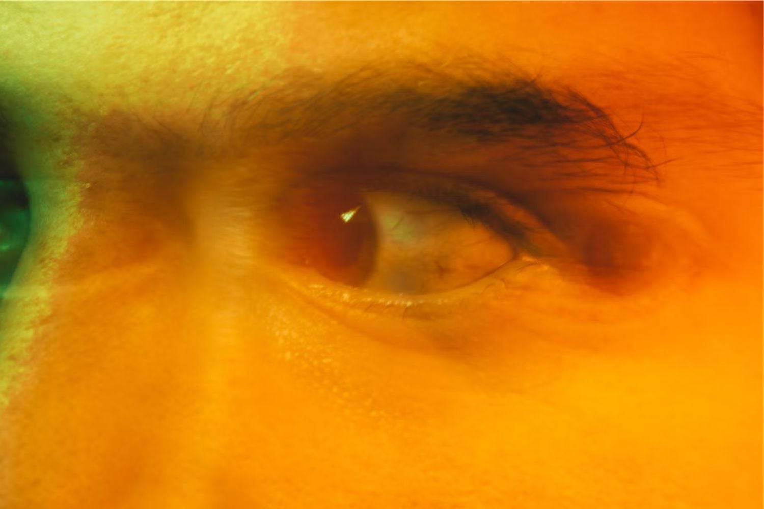 Diseño Sin Título (39)