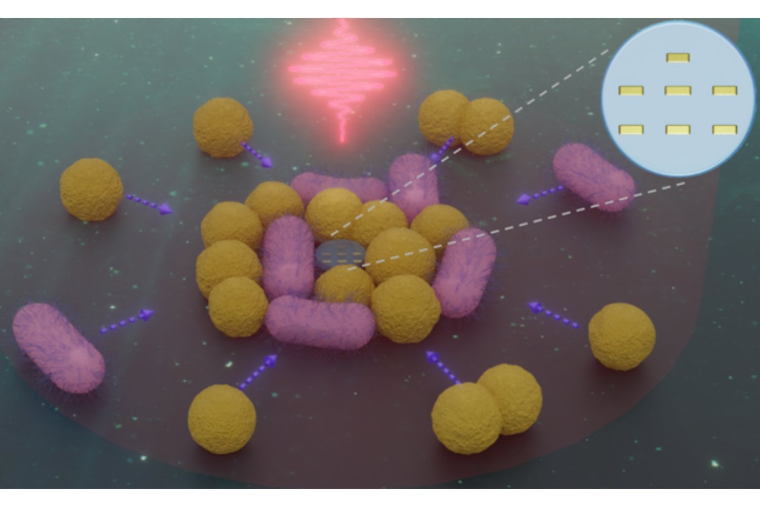 La frontera ya no es observar bacterias, es manipularlas directamente. Este nanorrobot usa luz para capturarlas, moverlas y soltarlas con una precisión que parecía imposible
