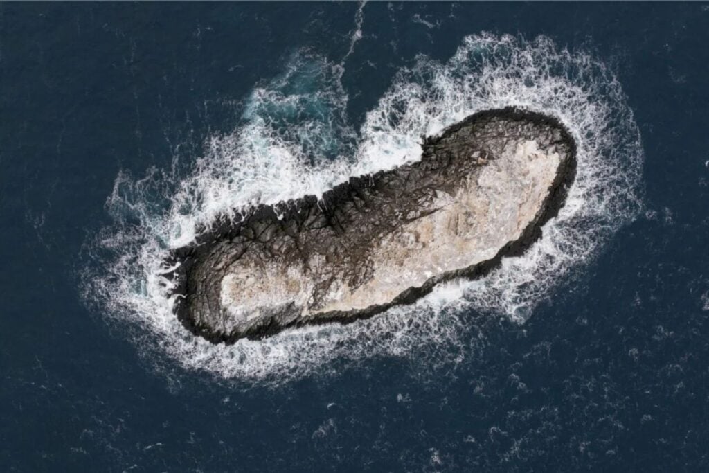 Diseño Sin Título (4)