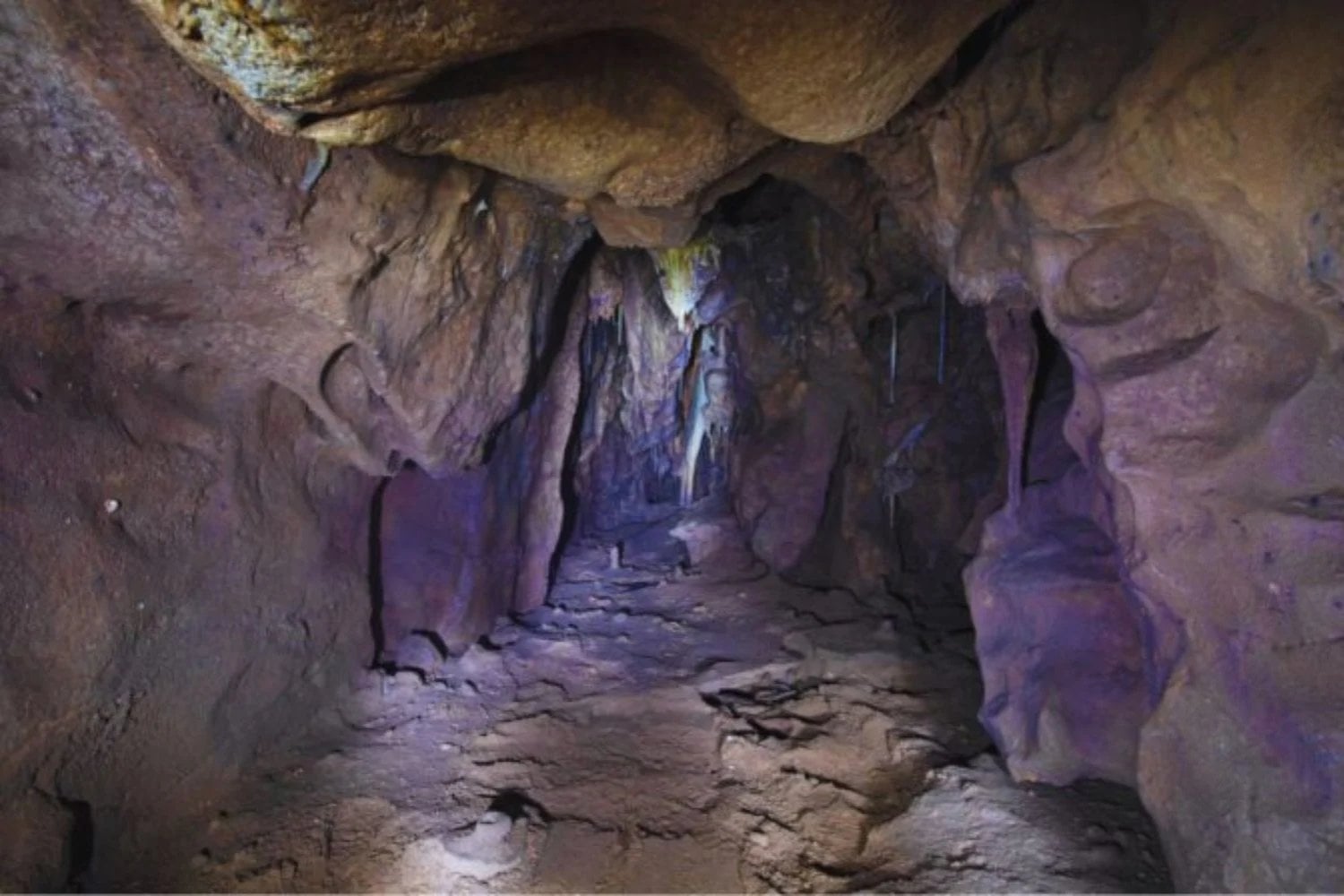 Abren por primera vez una cámara sellada durante 40.000 años en Gibraltar. La cueva permanecía cerrada desde tiempos neandertales y escondía restos intactos
