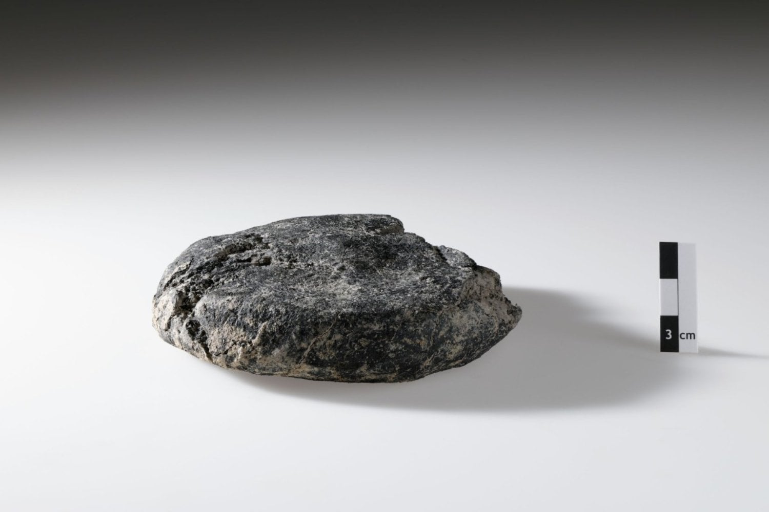 Descubren en Suiza la estructura del primer campamento militar romano de Vindonissa y un hallazgo casi imposible de conservar. Una hogaza de pan carbonizada sobrevivió dos mil años bajo tierra