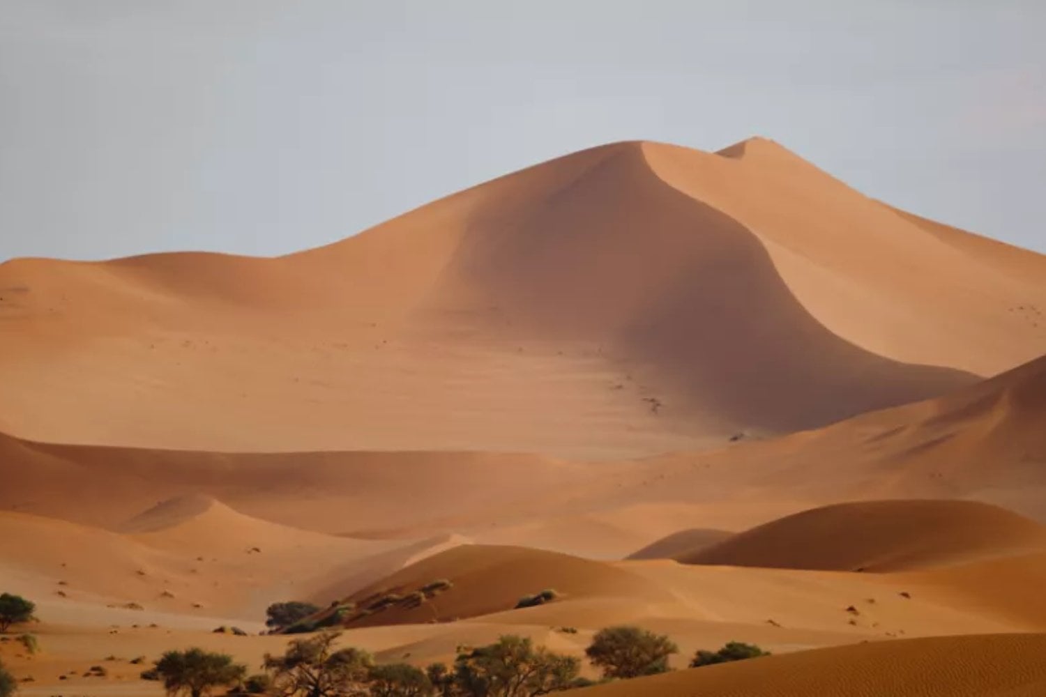 China lleva años buscando cómo convertir la arena del desierto en cemento útil. Ahora un avance con nanopartículas muestra que podría estar mucho más cerca de lograrlo
