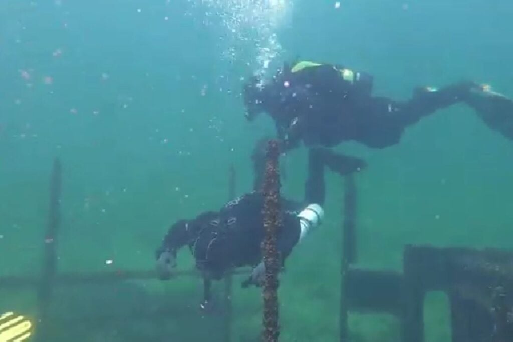 Diseño Sin Título (40)