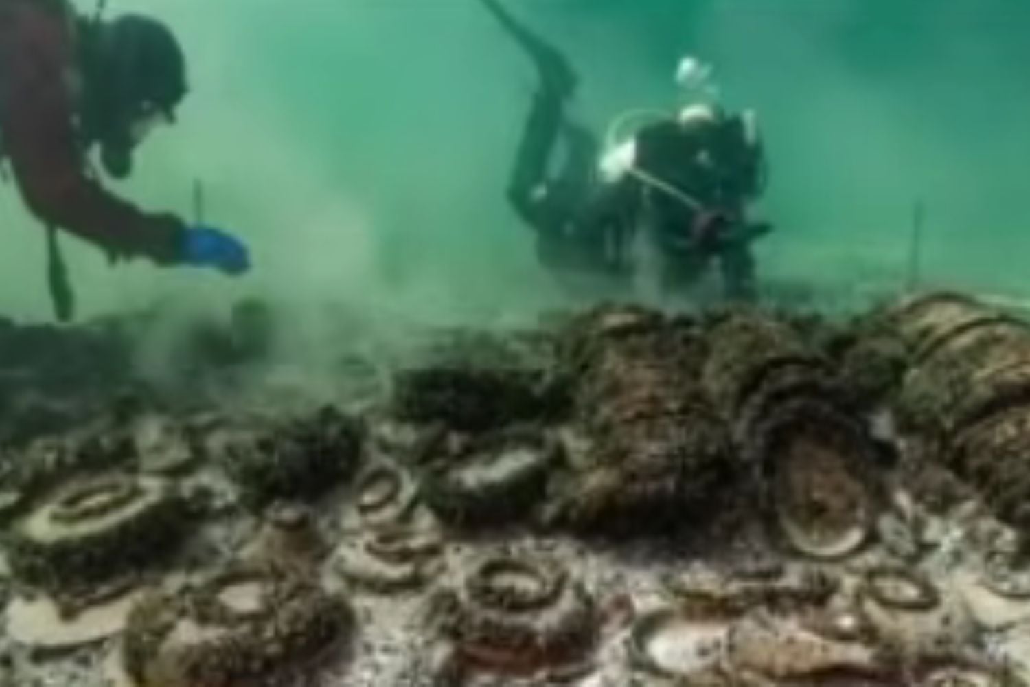 Diseño Sin Título (41)