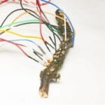 La computación del futuro podría no fabricarse en una oblea de silicio, sino crecer como un organismo vivo. Los hongos ya se estudian como una alternativa real para procesar información con mucho menos impacto ambiental