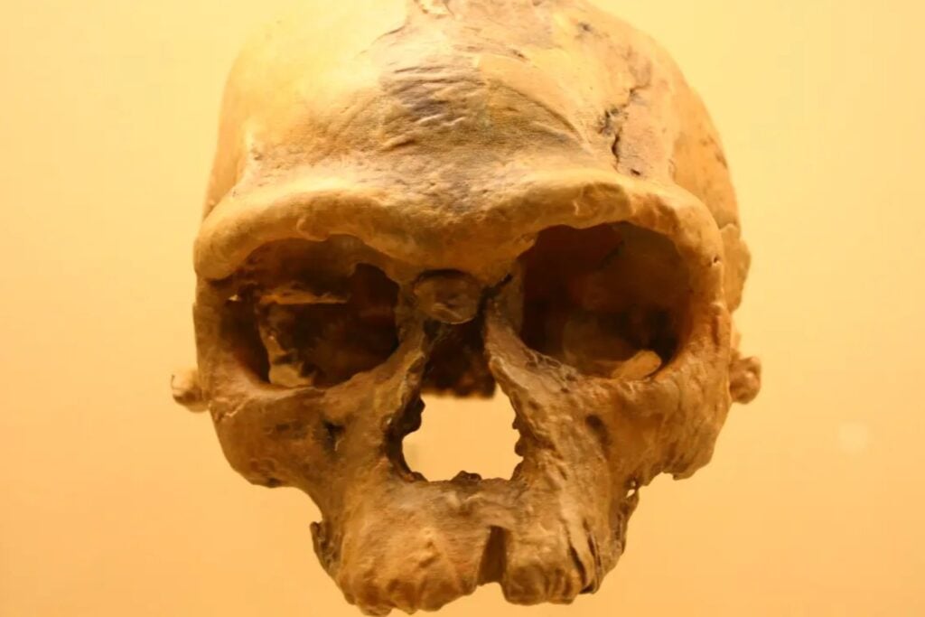 Hace 100.000 años Etiopía no era un desierto. Un hallazgo permite reconstruir cómo vivían, se movían y morían algunos de los primeros Homo sapiens