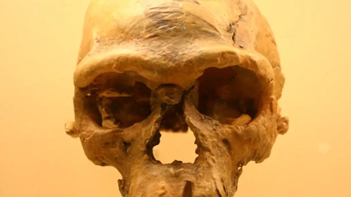 Hace 100.000 años Etiopía no era un desierto. Un hallazgo permite reconstruir cómo vivían, se movían y morían algunos de los primeros Homo sapiens