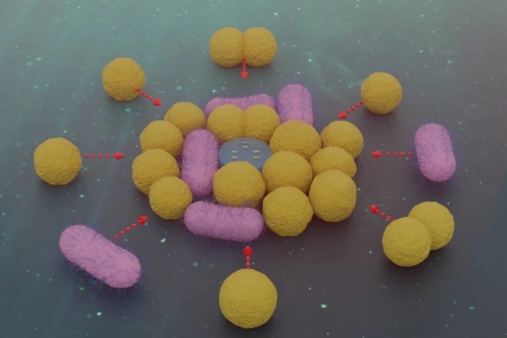 La frontera ya no es observar bacterias, es manipularlas directamente. Este nanorrobot usa luz para capturarlas, moverlas y soltarlas con una precisión que parecía imposible