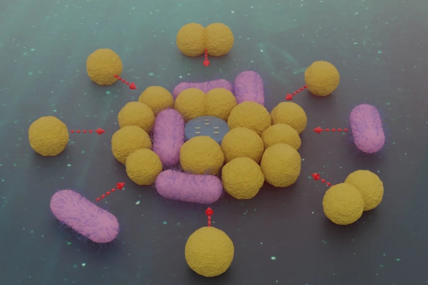 La frontera ya no es observar bacterias, es manipularlas directamente. Este nanorrobot usa luz para capturarlas, moverlas y soltarlas con una precisión que parecía imposible