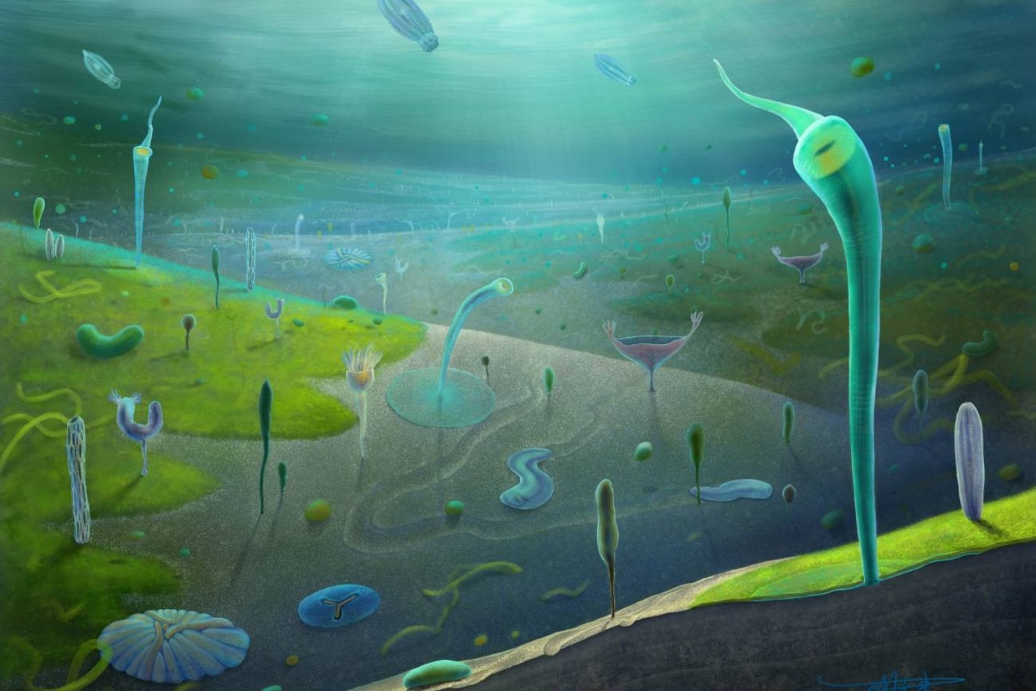 Durante décadas, la transición entre el Ediacárico y el Cámbrico fue un vacío en la historia de la vida. Un yacimiento en China acaba de llenarlo con cientos de fósiles extraordinariamente conservados